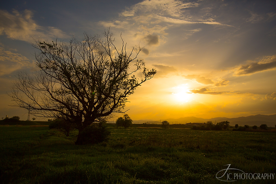 31 Sesiune foto burtica