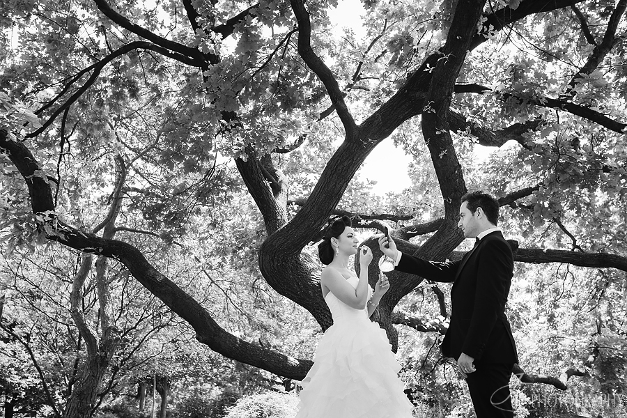 65 Sesiune foto nunta Budapesta