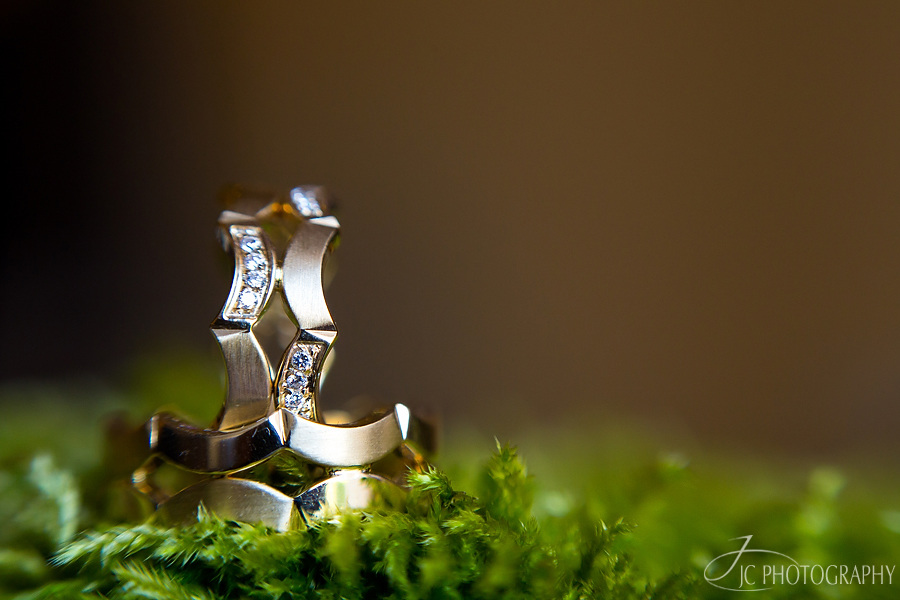 016 Fotografii nunta Alexandra & Stefan