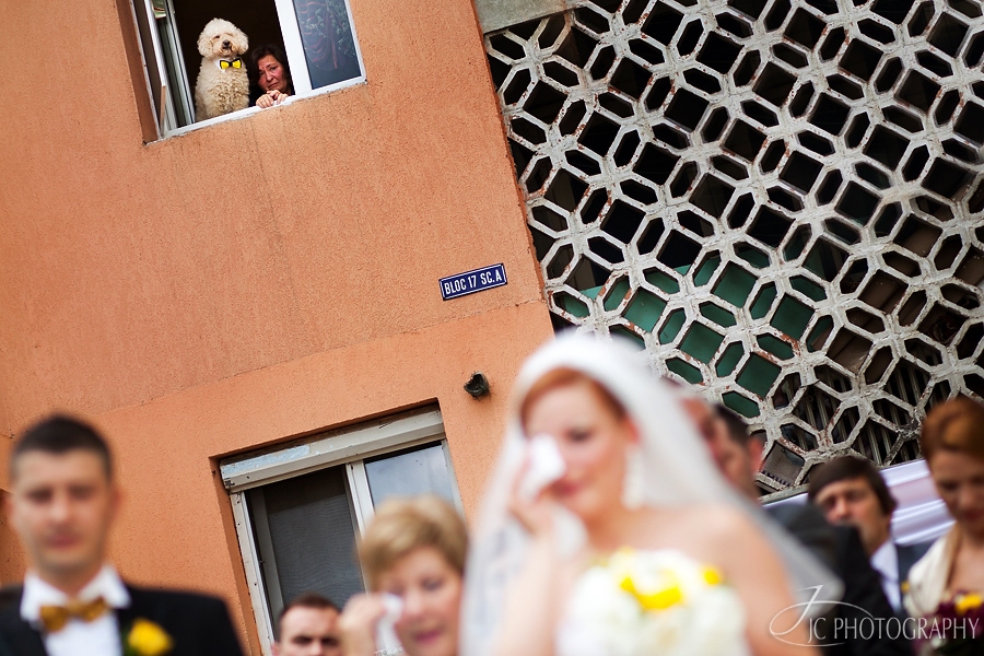 14 Fotografii de nunta in Alba Iulia